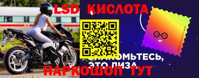 стафф Будённовск