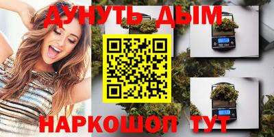 стафф Будённовск