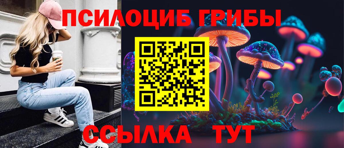 Галлюциногенные грибы MAGIC MUSHROOMS  Вход с VPN  Комсомольск-на-Амуре 