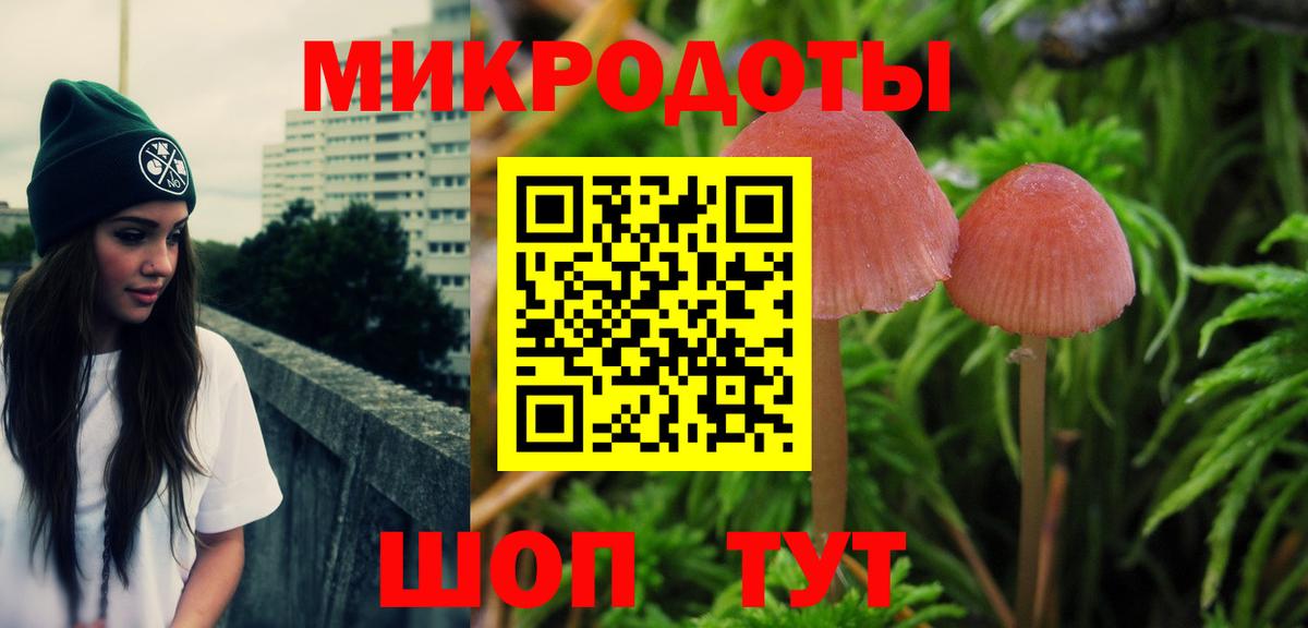 Галлюциногенные грибы мицелий Комсомольск-на-Амуре
